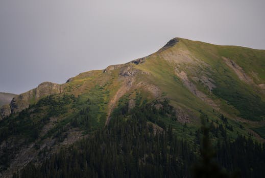 Mynářova Bitva o Odškodnění: Soud Zamítl Žádost o 1,9 Mil. Kč